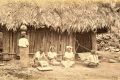 Imagen-y-colonialismo_-Foto-de-Eadweard-Muybridge_-Casi-literal.jpg