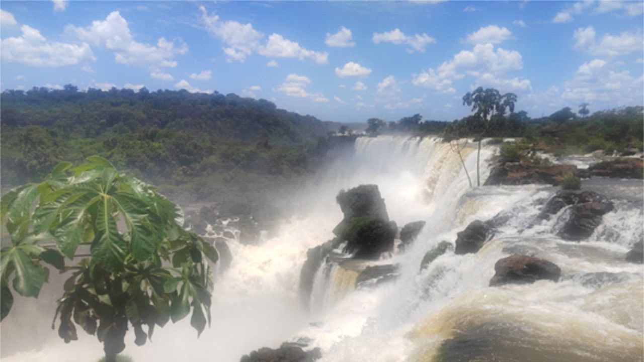 La-ruta-guarani-III-el-Eden-perdido-en-el-corazon-de-America-del-Sur_-Casi-literal.jpg