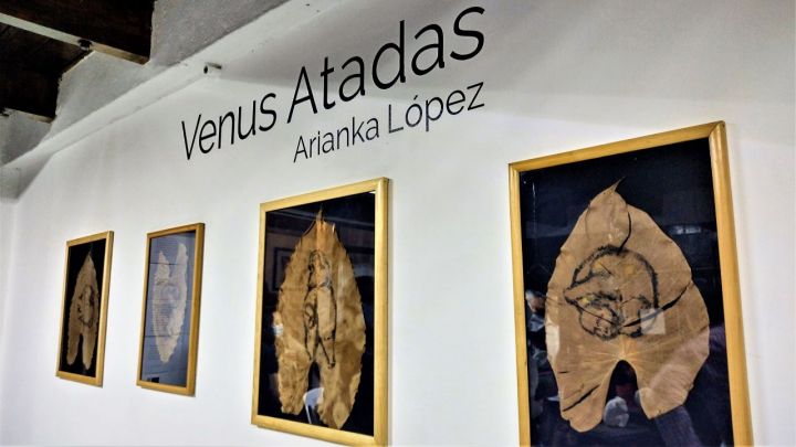 Venus-atadas-Arianka-Lopez_-Casi-literal.jpg